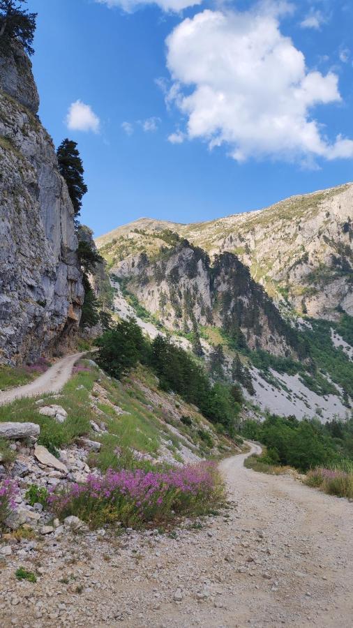 Apartmán Katun Kuline Kolašin Exteriér fotografie