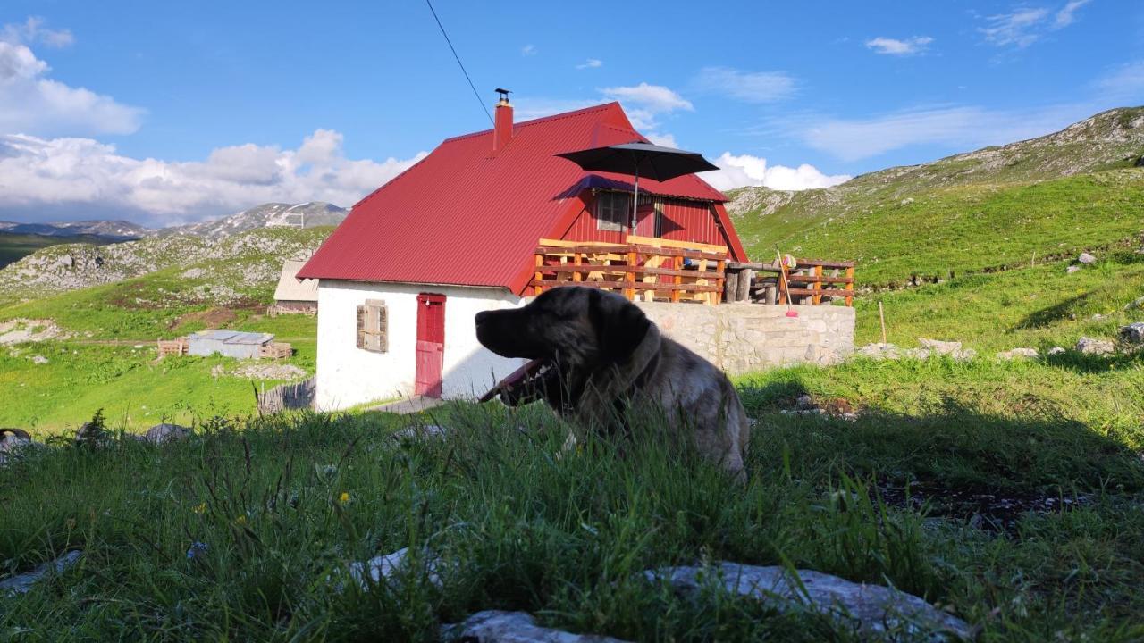 Apartmán Katun Kuline Kolašin Exteriér fotografie